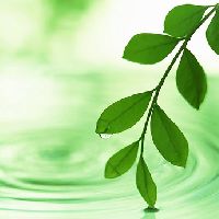 �g���C�A���Z�b�g�͂����Ղ��14����